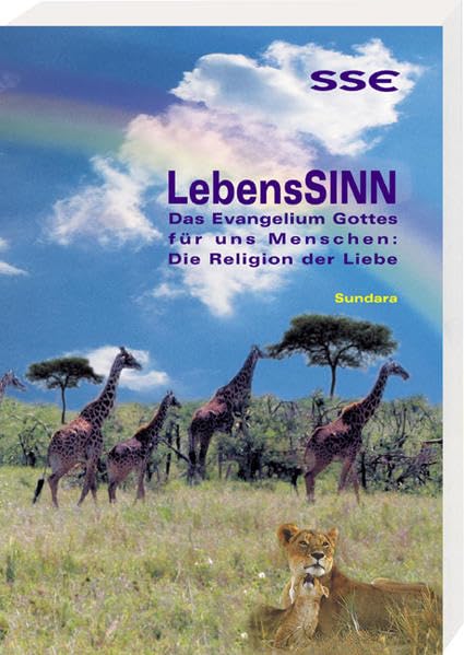 LebensSinn: Das Evangelium Gottes für uns Menschen: Die Religion der Liebe Religion & Esotericism