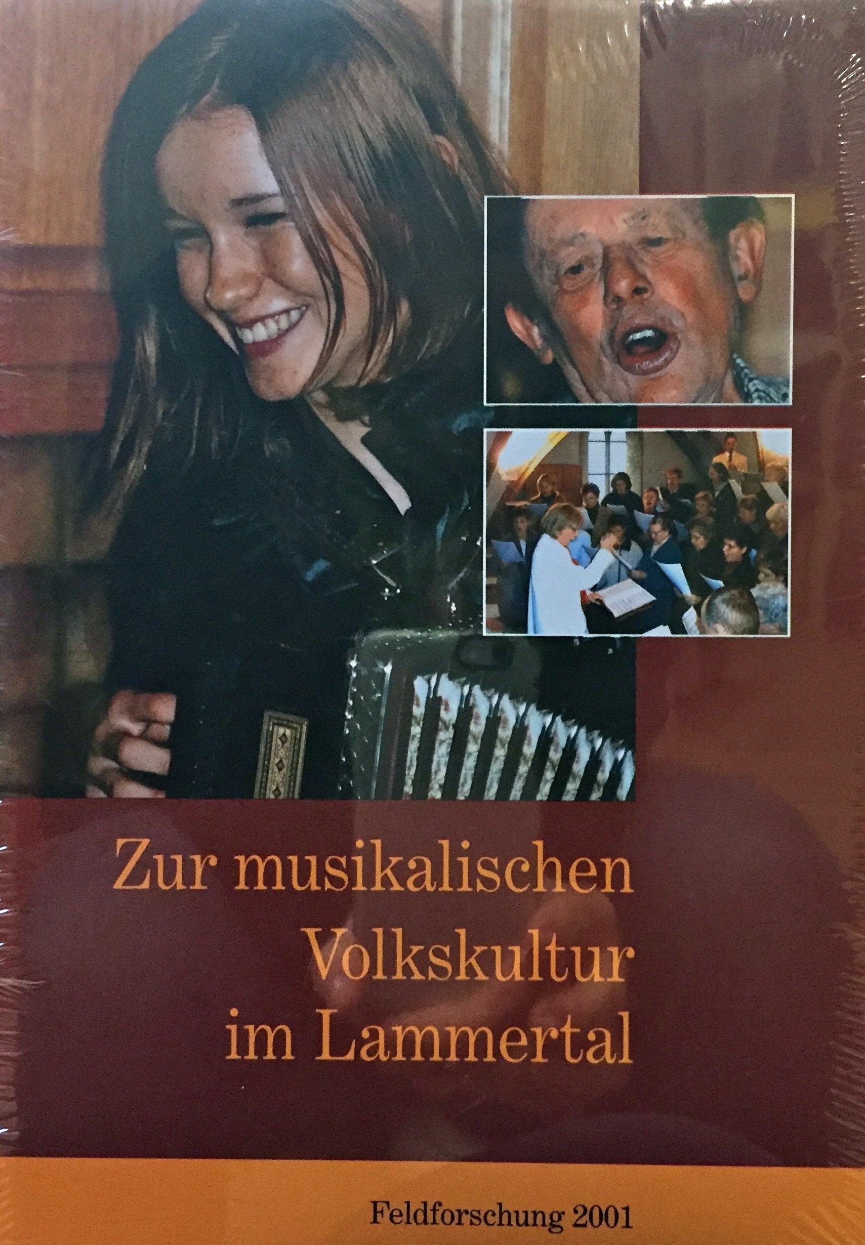 Zur musikalischen Volkskultur im Lammertal: Feldforschung 2001. Bericht Arts & Music