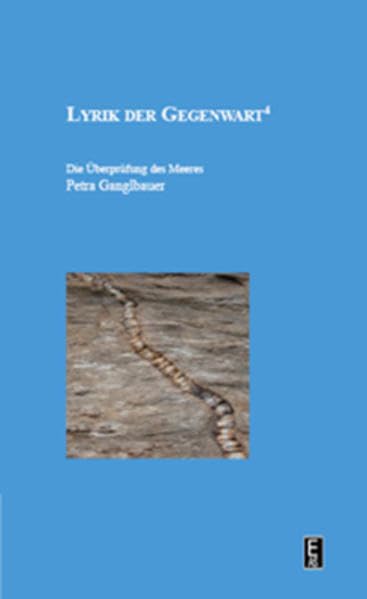 Die Überprüfung des Meeres: Lyrik der Gegenwart 4 Poetry