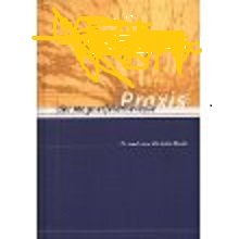 Praxis der Magnetfeldtherapie von Dr. med. univ. Christian Thuile Books