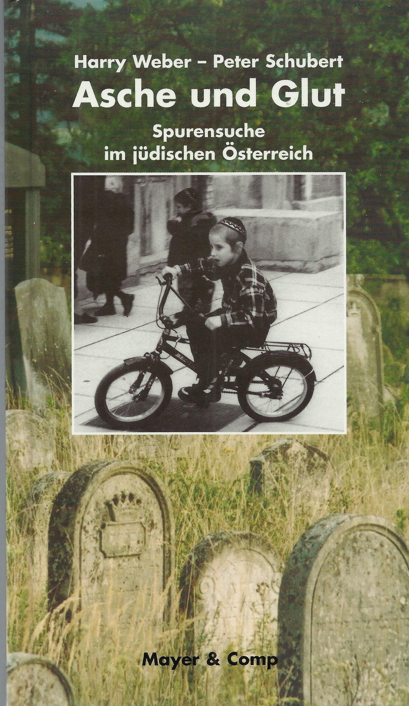 Asche und Glut: Spurensuche im jüdischen Österreich Books