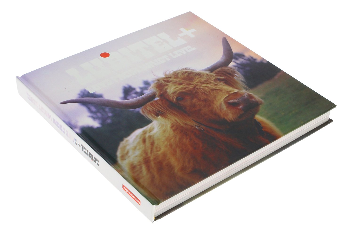 Lomography Love at Waist Level Book 581 Books