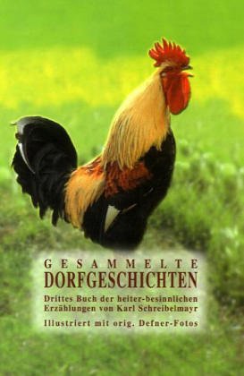 Gesammelte Dorfgeschichten, Buch 3 Historical Fiction