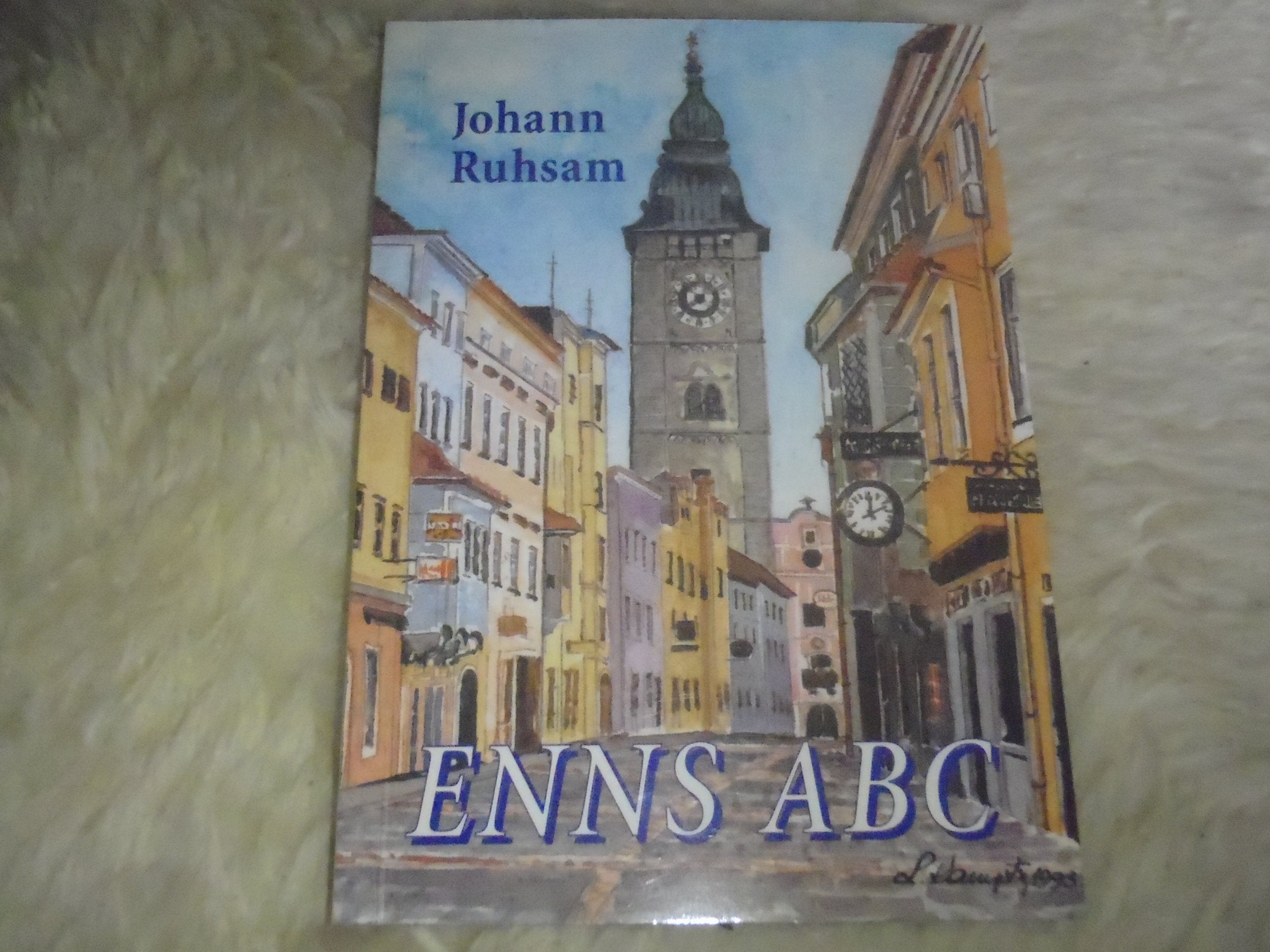 Enns ABC: Eine Ennser Fibel mit Erklärungen von verschiedenen Namen und einer Auswahl von landläufigen Begriffen in der Stadtgemeinde und der näheren Umgebung Learning & Reference