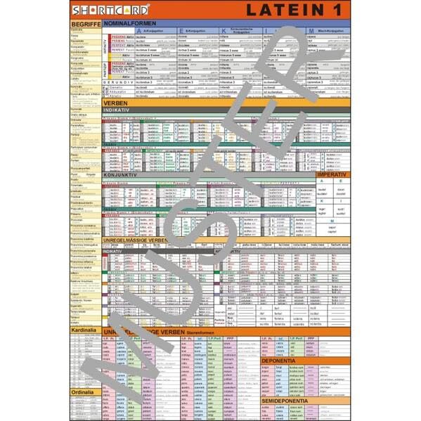 Shortcard / Latein 1: Formenlehre Foreign Languages ​​& Dictionaries