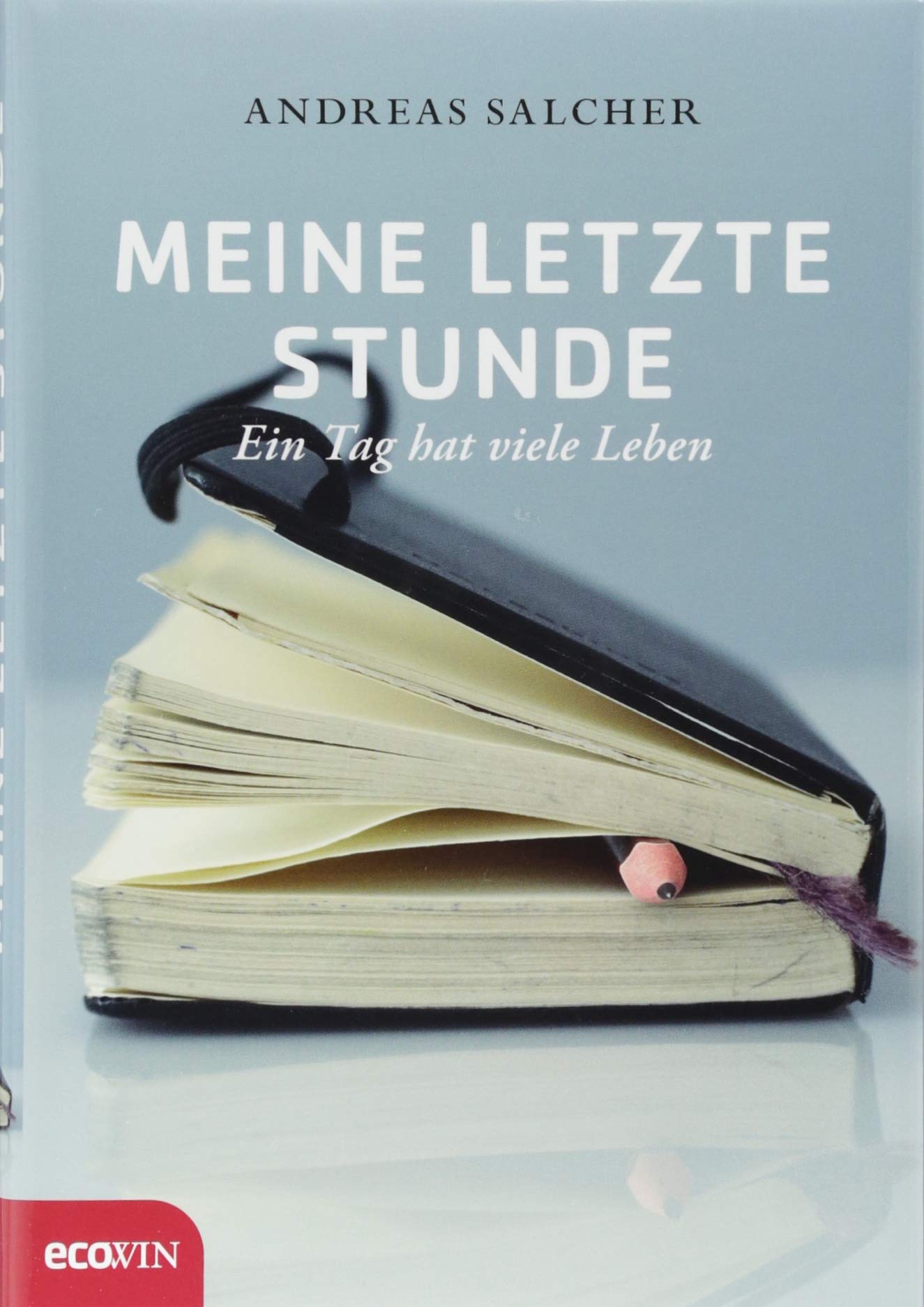 Product Image: Meine letzte Stunde