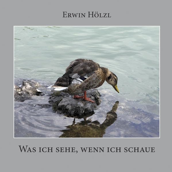 Was ich sehe, wenn ich schaue Essays & Short Stories
