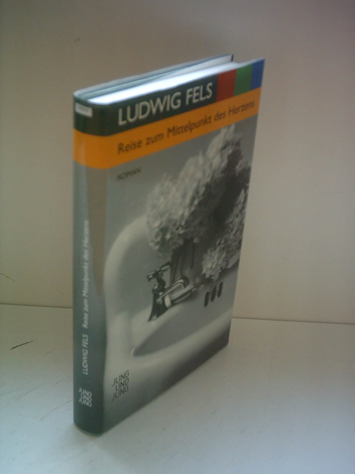 Reise zum Mittelpunkt des Herzens: Roman Contemporary literature