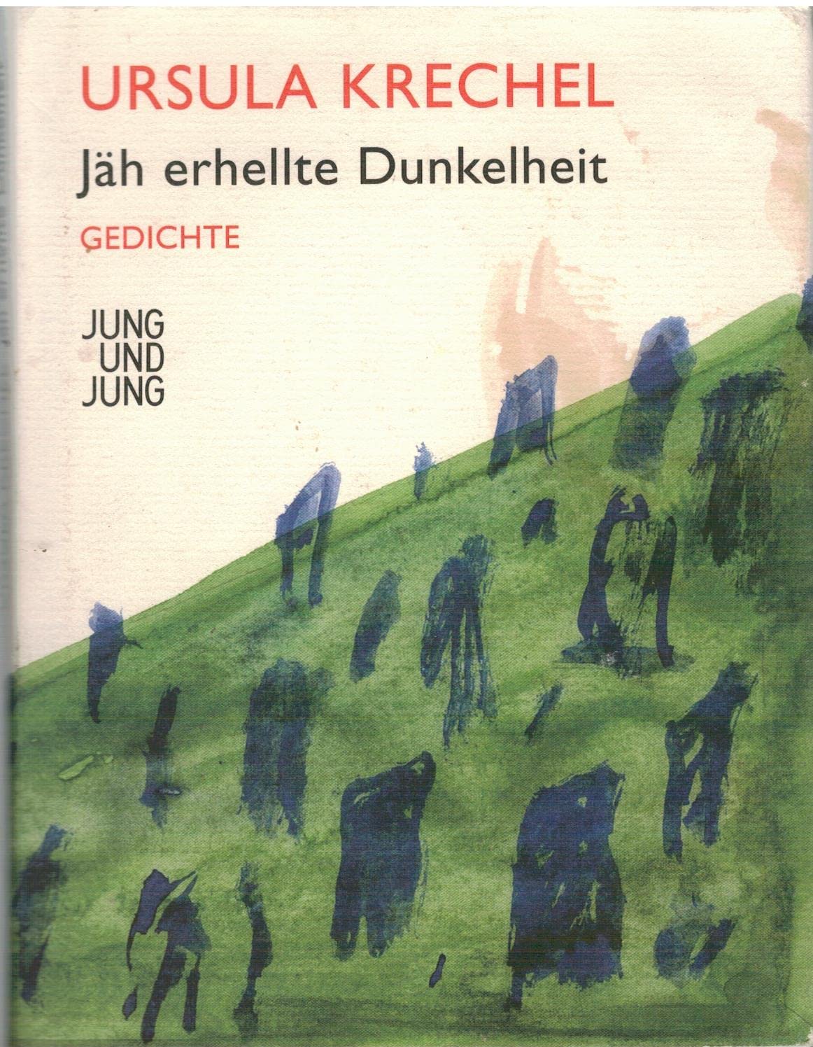Jäh erhellte Dunkelheit: Gedichte book