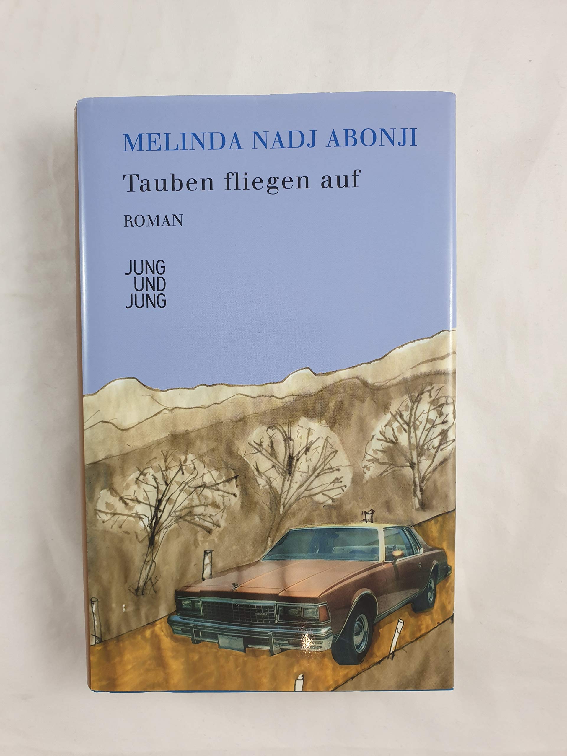 Tauben fliegen auf Contemporary literature