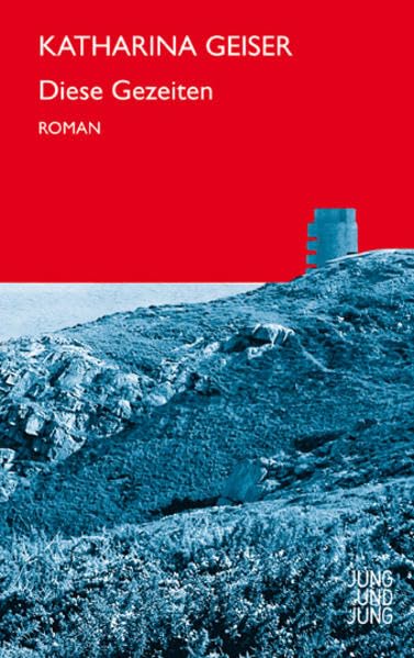 Diese Gezeiten: Roman Contemporary literature