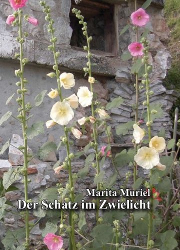 Der Schatz im Zwielicht Contemporary literature Books