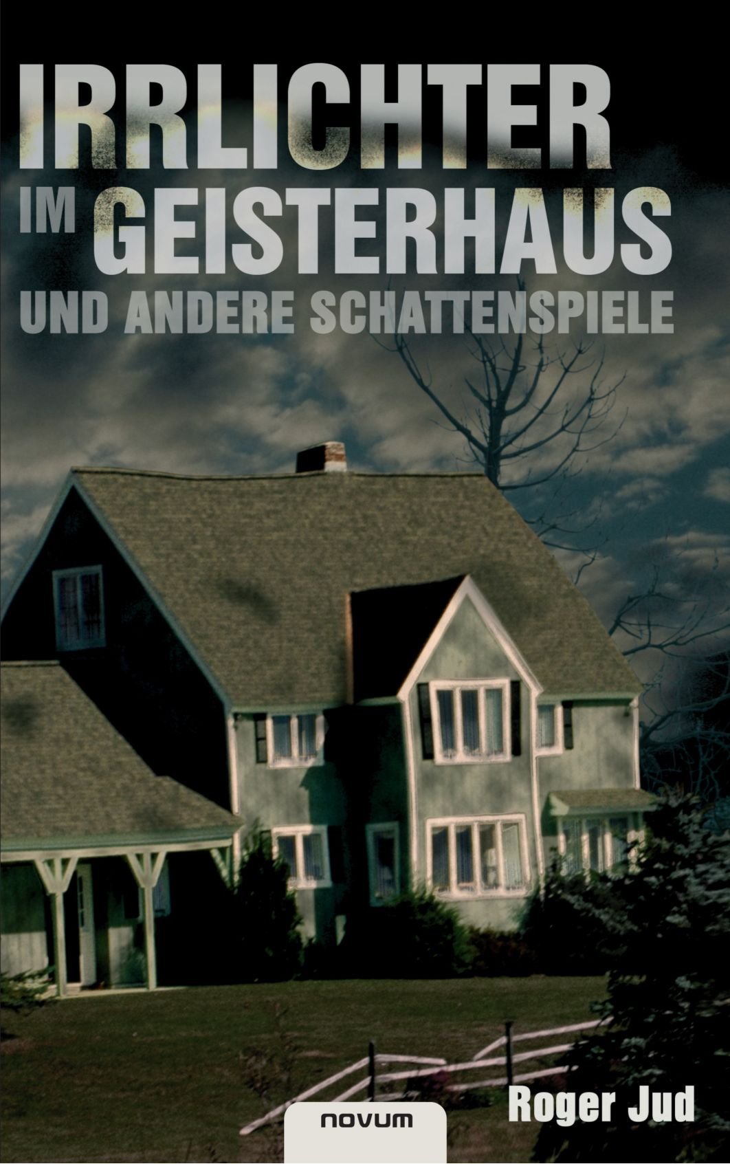Irrlichter im Geisterhaus und andere Schattenspiele Contemporary literature