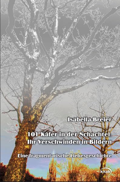 101 Käfer in der Schachtel. Ihr Verschwinden in Bildern: Eine fragmentarische Liebesgeschichte: Eine fragmentarische Liebesgeschichte. Käfer in der Schachtel. Welt davor. Denken ohne Grund. Contemporary literature Books
