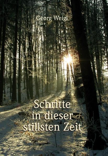 Product Image: Schritte in dieser stillsten Zeit