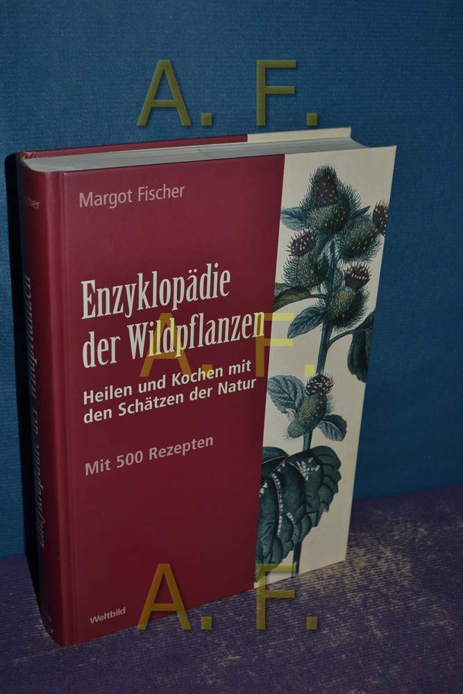 Enzyklopädie der Wildpflanzen Heilen und Kochen mit den Schätzen der Natur Mit 500 Rezepten Books