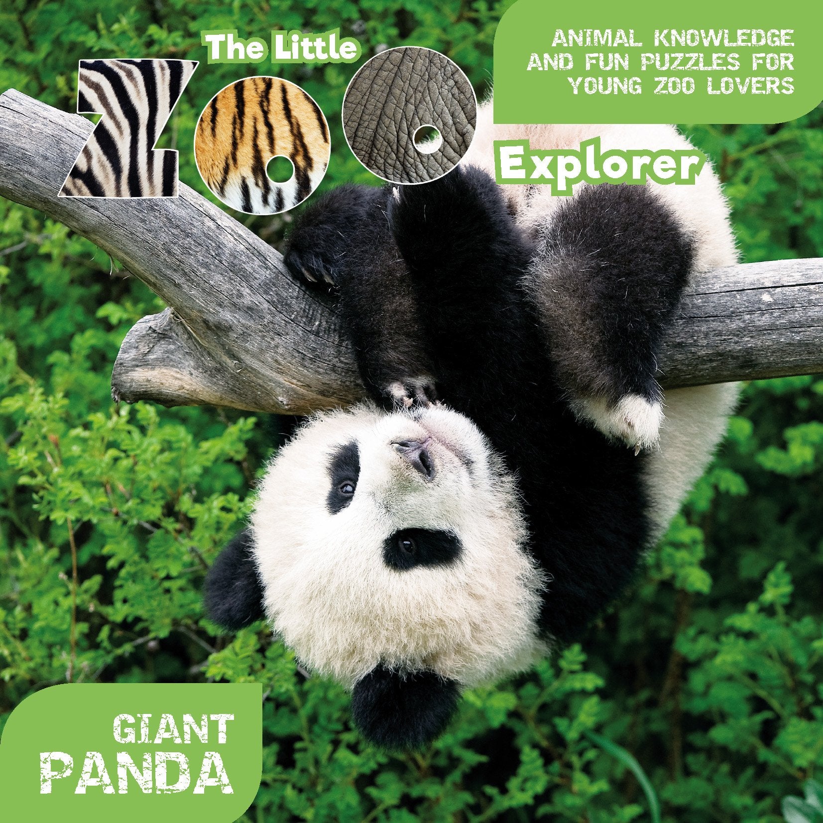 The Little Zoo Explorer: Giant Panda Non-fiction