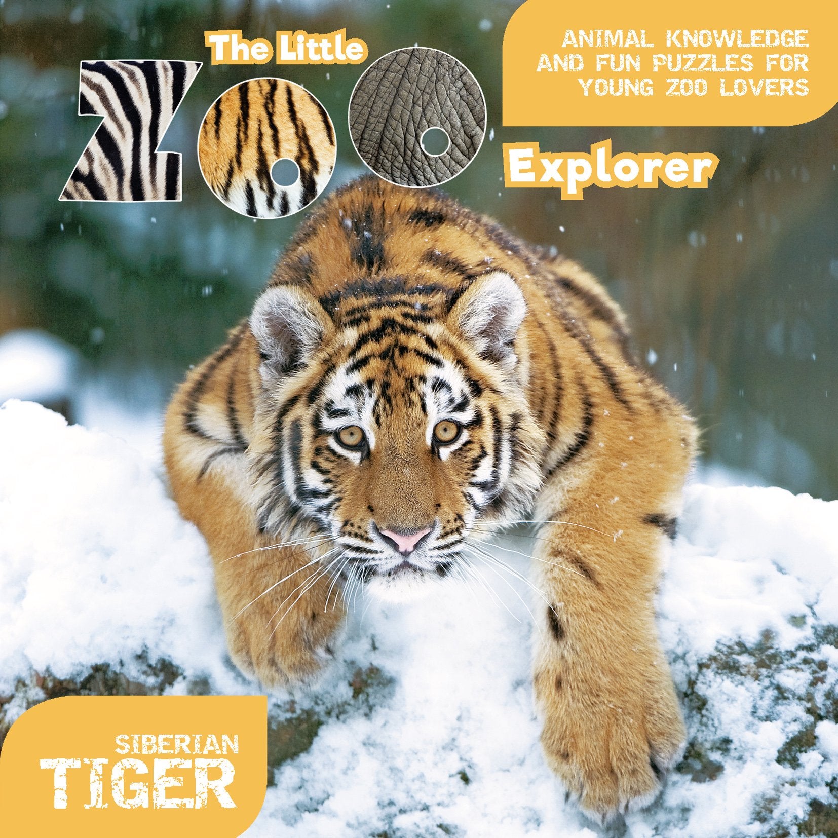 The Little Zoo Explorer: Siberian Tiger Non-fiction