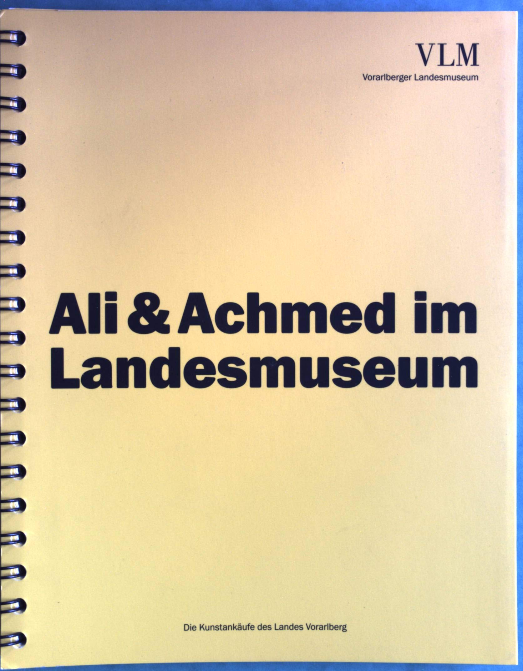 Ali und Achmed im Landesmuseum: Die Kunstankäufe des Landes Vorarlberg Film, Art & Culture