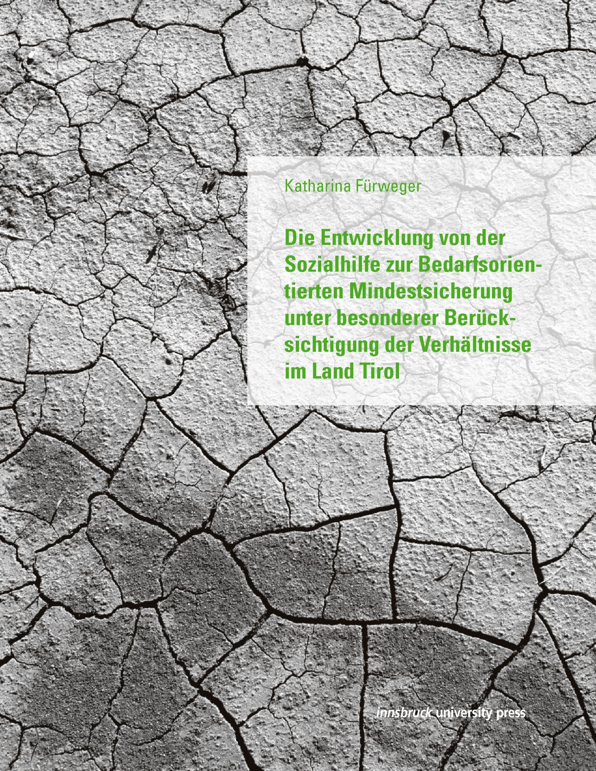 Die Entwicklung von der Sozialhilfe zur Bedarfsorientierten Mindestsicherung unter besonderer Berücksichtigung der Verhältnisse im Land Tirol Law