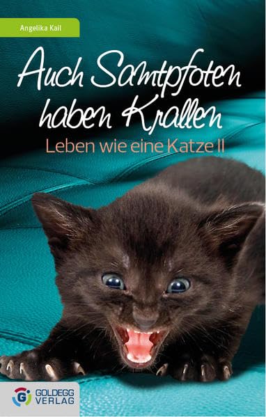 Auch Samtpfoten haben Krallen Lifestyle
