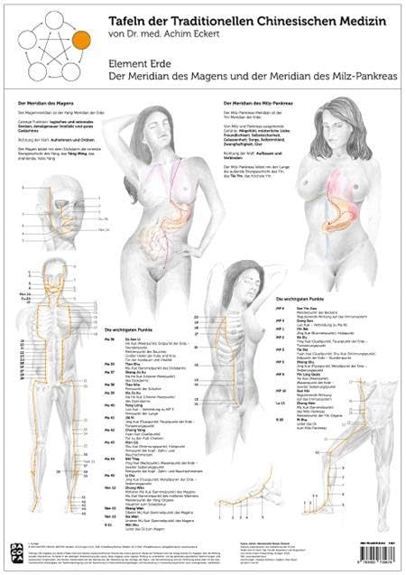 Element Erde: Tafel der Traditionellen Chinesischen Medizin: Der Meridian des Magens und der Meridian des Milz-Pankreas Medicine