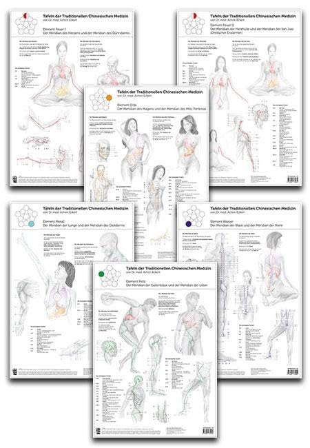 Set von 6 Tafeln der Traditionellen Chinesischen Medizin Medicine
