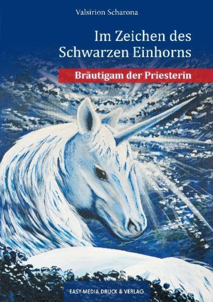 Bräutigam der Priesterin Contemporary literature