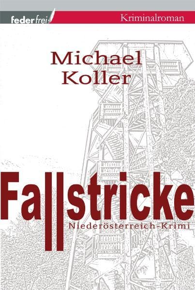 Fallstricke Contemporary literature Books