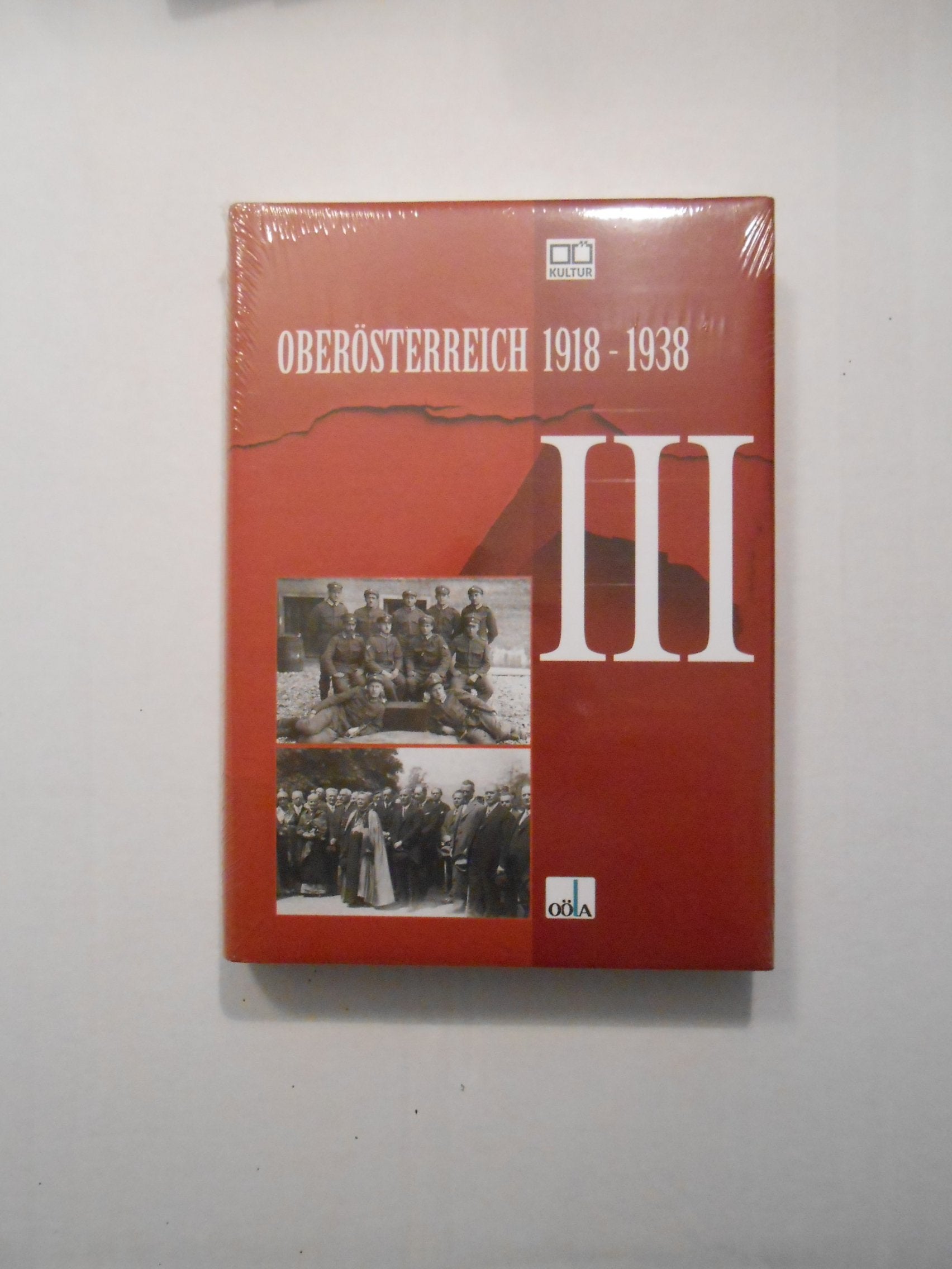 Oberösterreich 1918 - 1938 / Oberösterreich 1918 - 1938 . III Politics & History