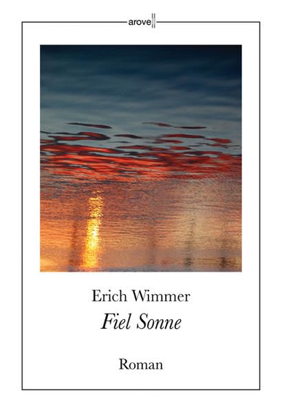 Fiel Sonne: Roman Contemporary literature
