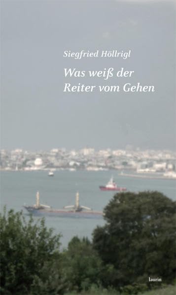 Was weiß der Reiter vom Gehen book