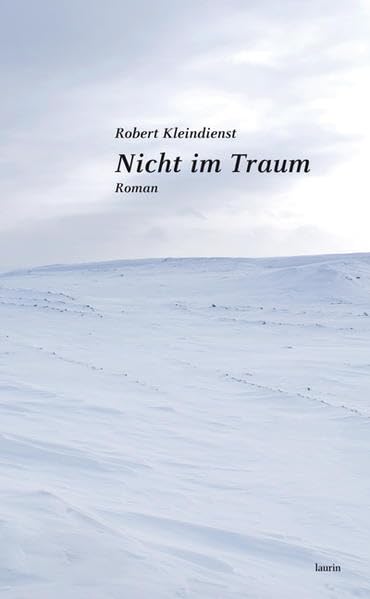 Nicht im Traum: Roman Contemporary literature