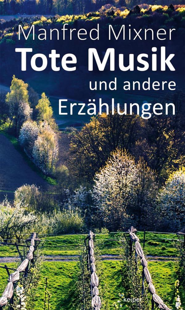 Tote Musik: und andere Erzählungen Contemporary literature