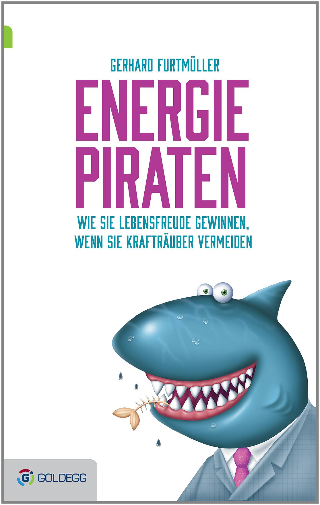 Product Image: Energiepiraten
