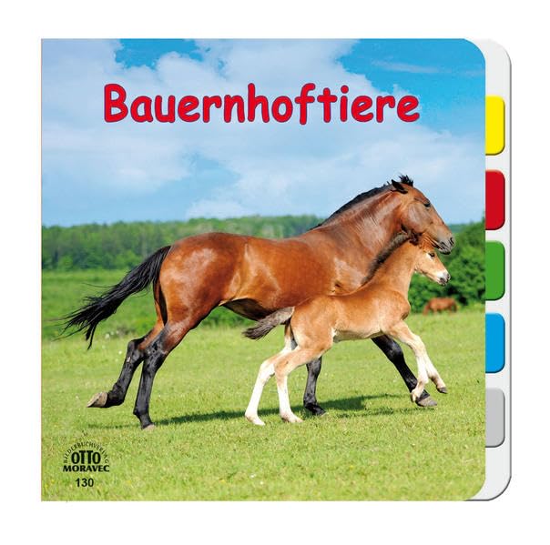 Page in Page-Buch 2 Motive Children's books