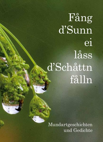 Fang d’Sunn ei lass d’Schattn falln: Mundartgeschichten und Gedichte Poetry