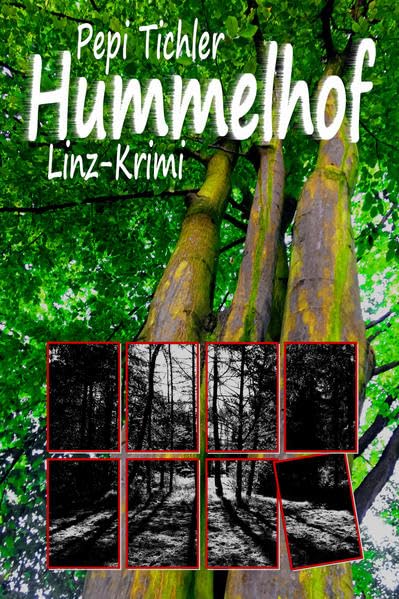Hummelhof: Linz-Krimi Contemporary literature