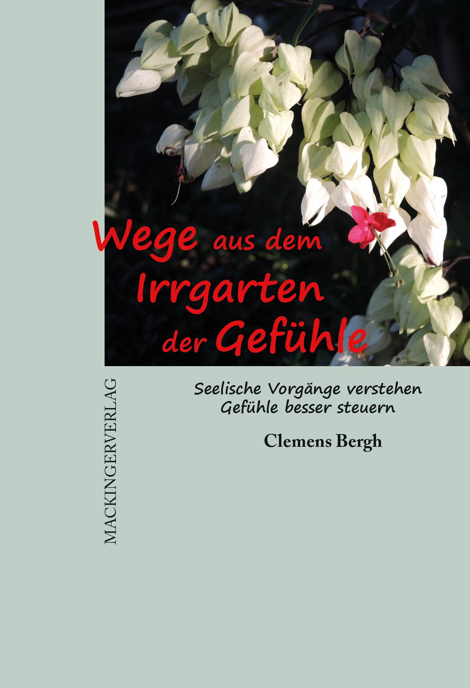 Wege aus dem Irrgarten der Gefühle: Seelische Vorgänge verstehen, Gefühle besser steuern Health, Nutrition & Fitness