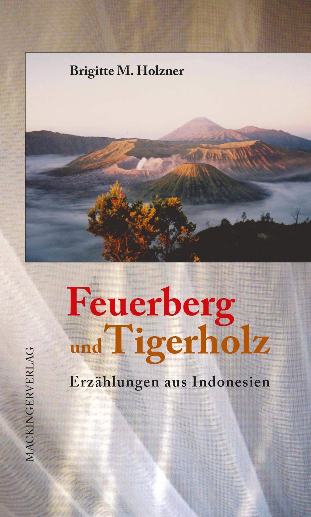 Feuerberg und Tigerholz Social Sciences