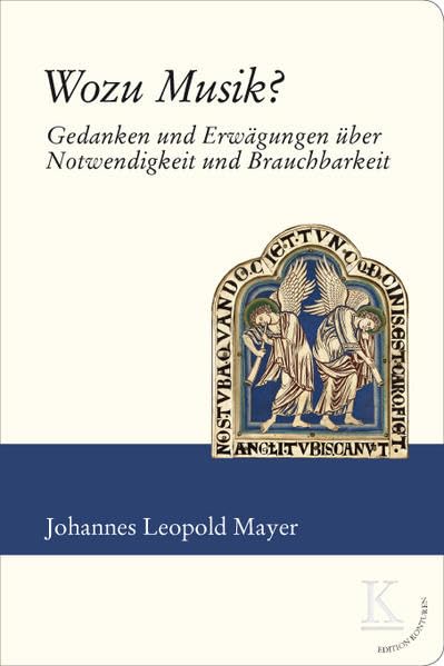 Wozu Musik?: Gedanken und Erwägungen über Notwendigkeit und Brauchbarkeit (Edition Konturen) Arts & Music