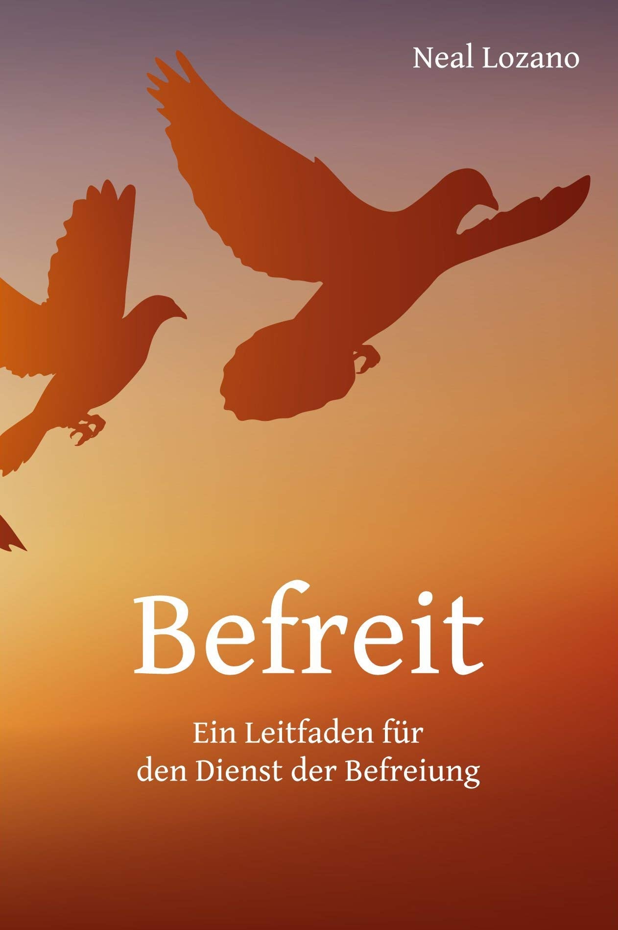 Befreit: Ein Leitfaden für den Dienst der Befreiung Religion & Esotericism