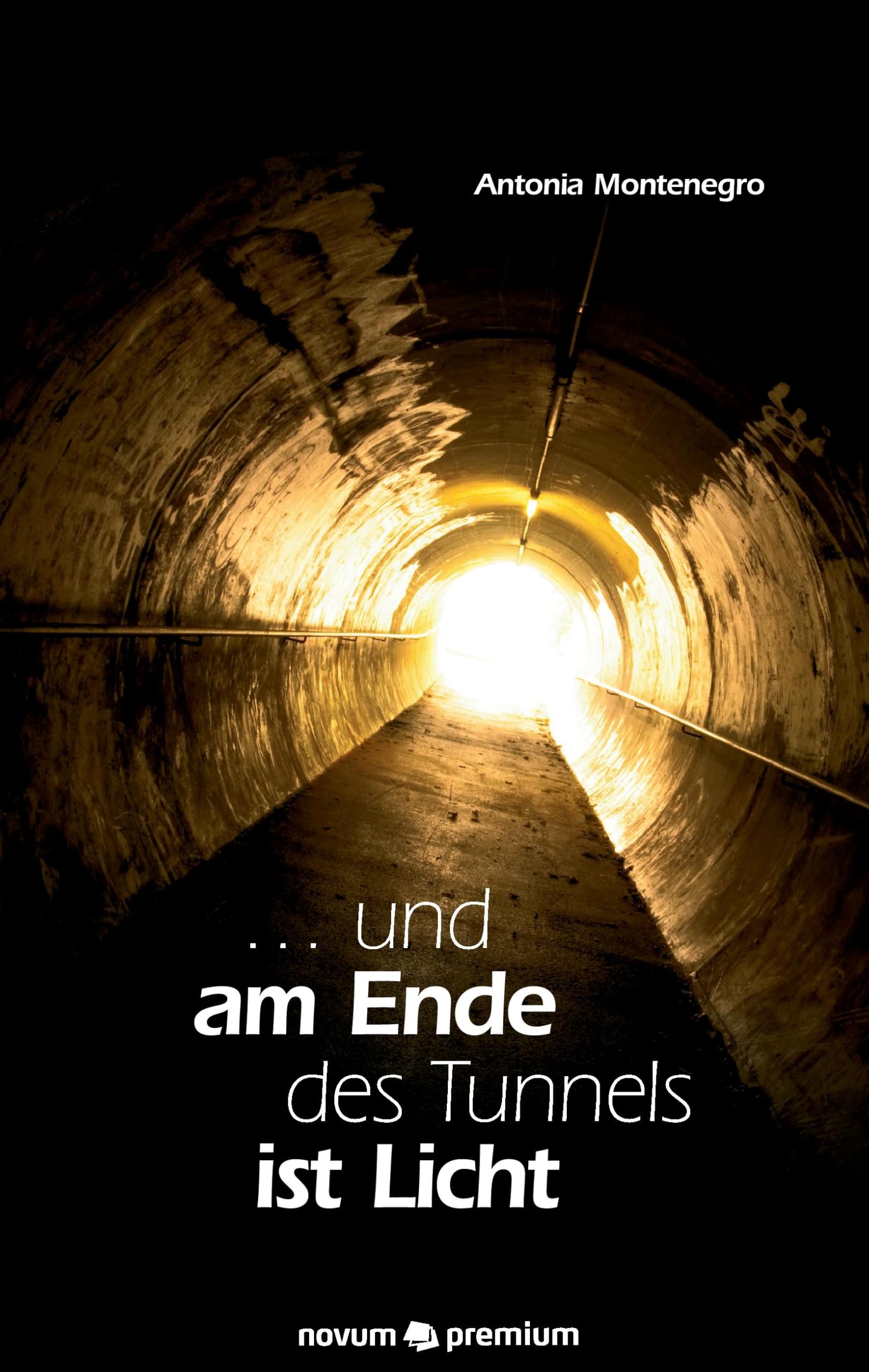 ... und am Ende des Tunnels ist Licht Contemporary literature