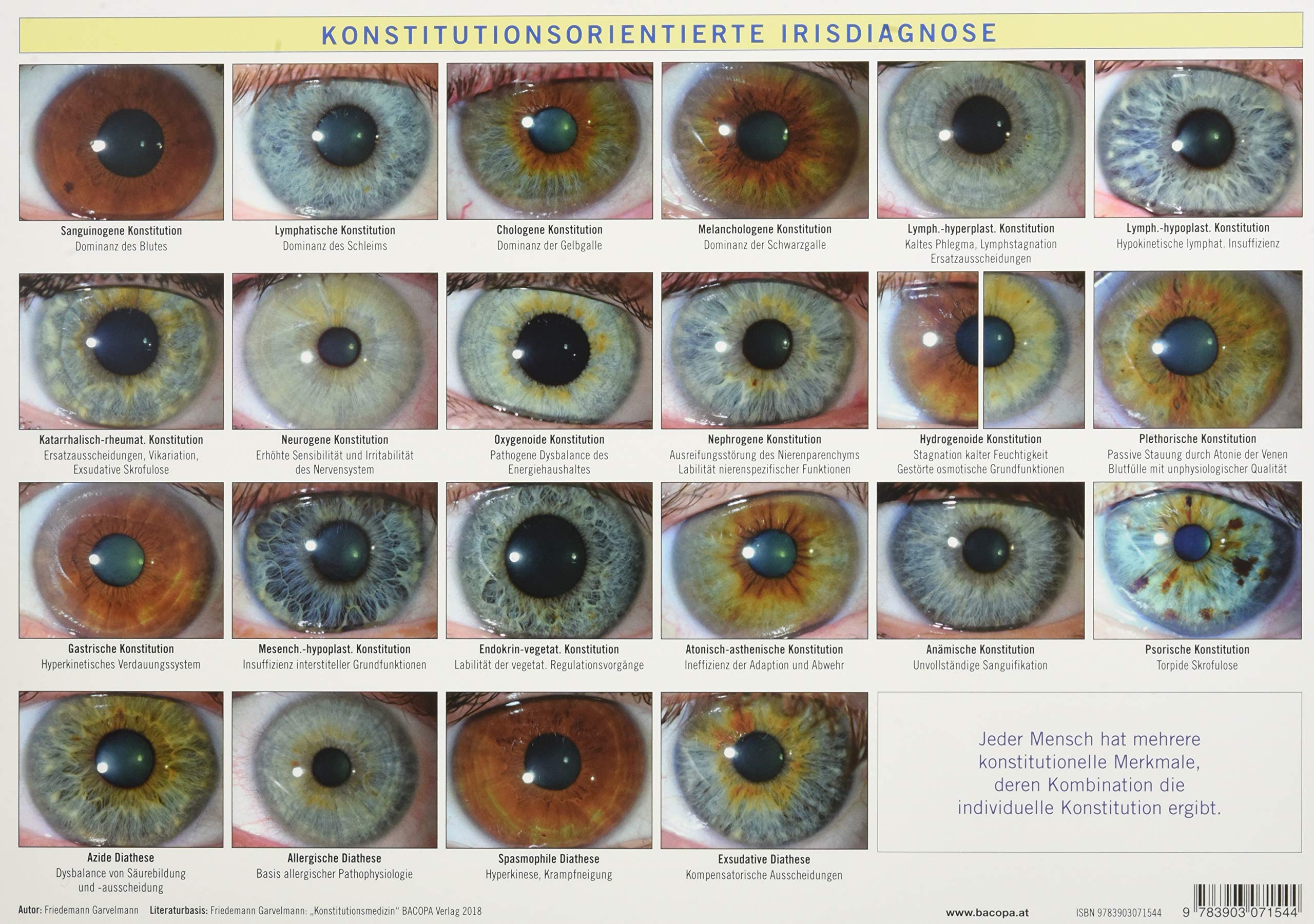 Konstitutionsorientierte Irisdiagnose: A4 Tafel Medicine