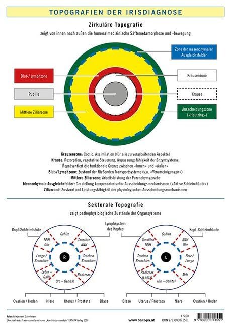 Topografien der Irisdiagnose Medicine