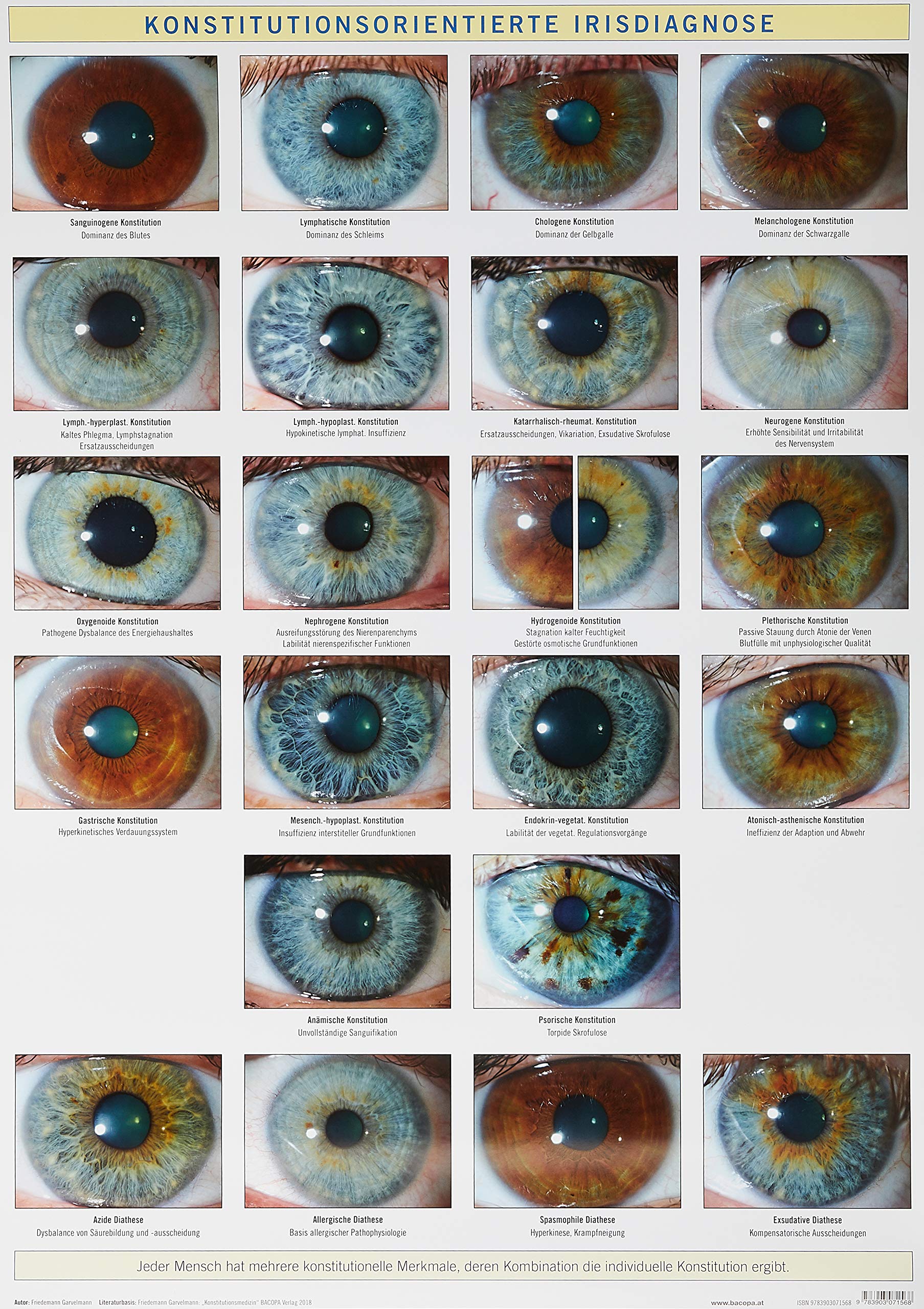 Konstitutionsorientierte Irisdiagnose: Wandtafel Medicine