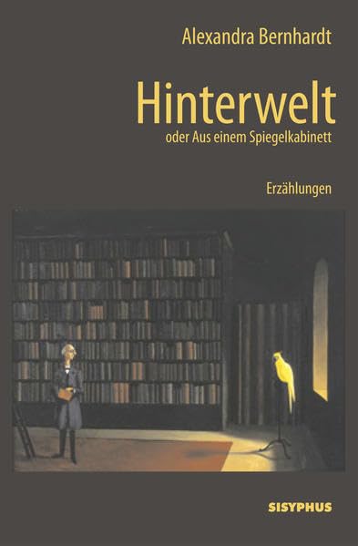 Product Image: Hinterwelt: oder Aus einem Spiegelkabinett: Erzählungen