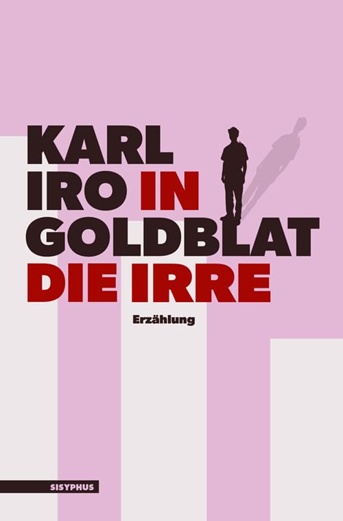 In die Irre: Erzählung Contemporary literature