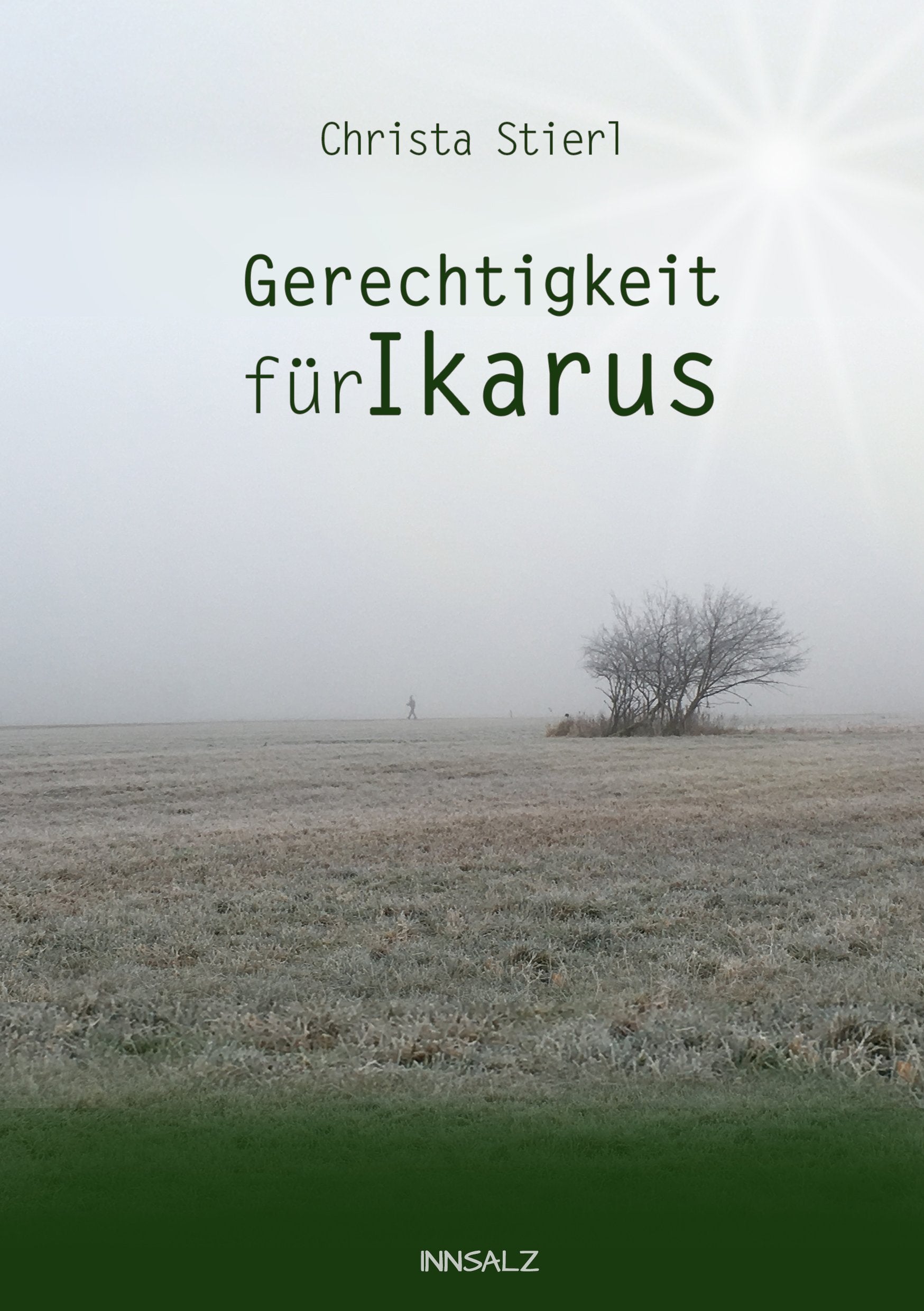 Gerechtigkeit für Ikarus Essays & Short Stories