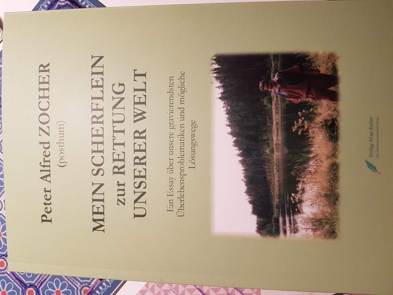 Mein Scherflein zur Rettung unserer Welt: Ein Essay über unsere gravierendsten Überlebensproblematiken und mögliche Lösungswege Contemporary literature